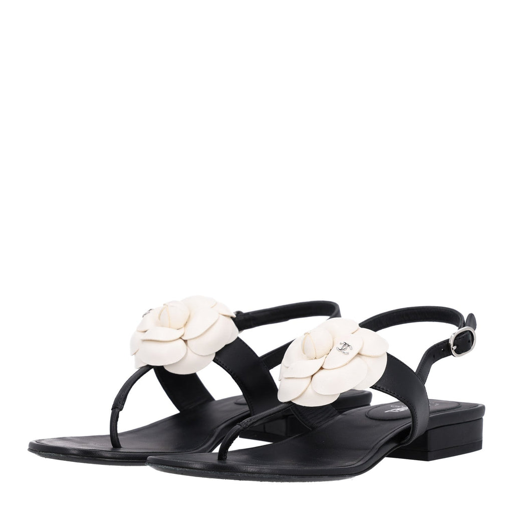 Lambskin Camellia Thong Sandals 36.5 Black White