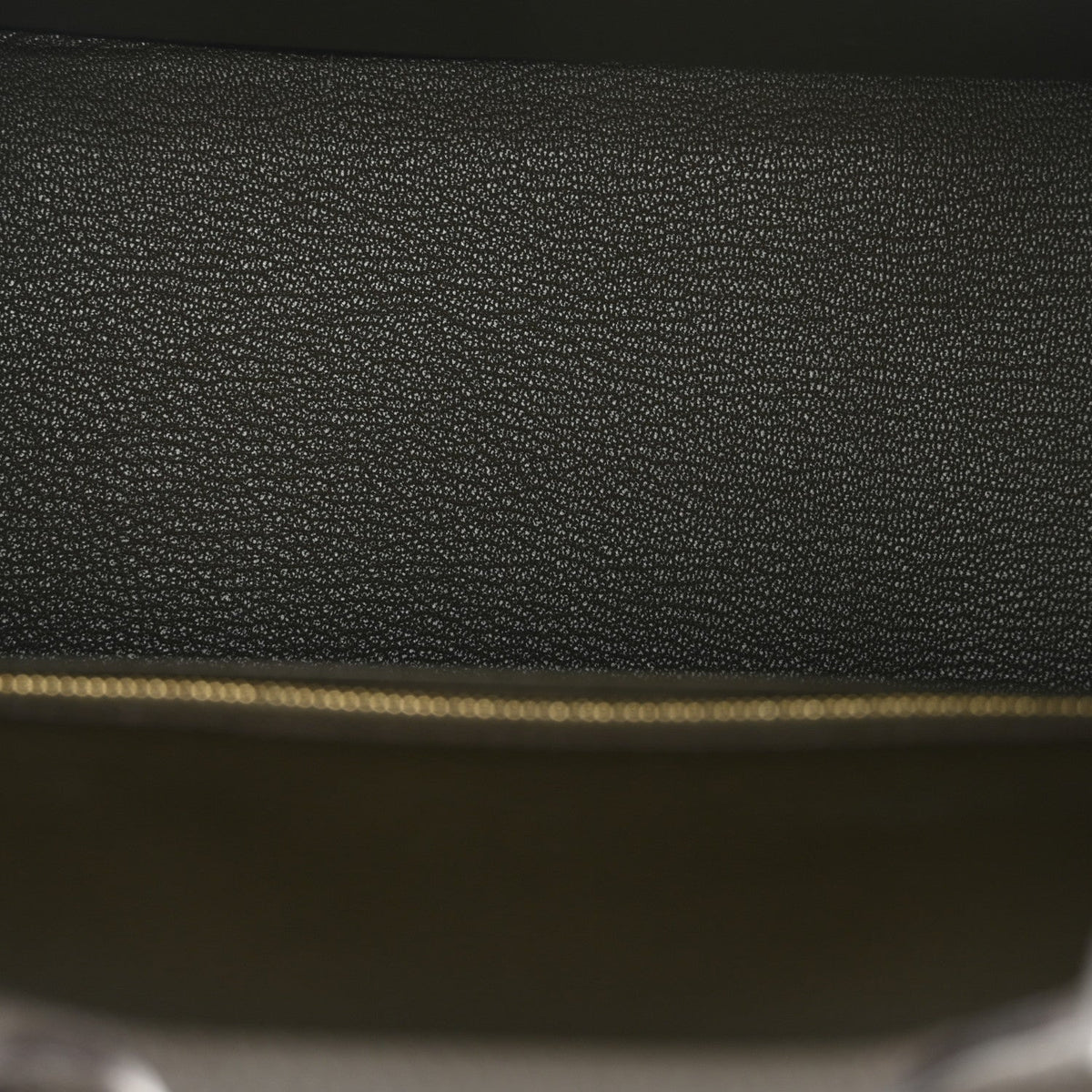 Togo Birkin 25 Eucalyptus