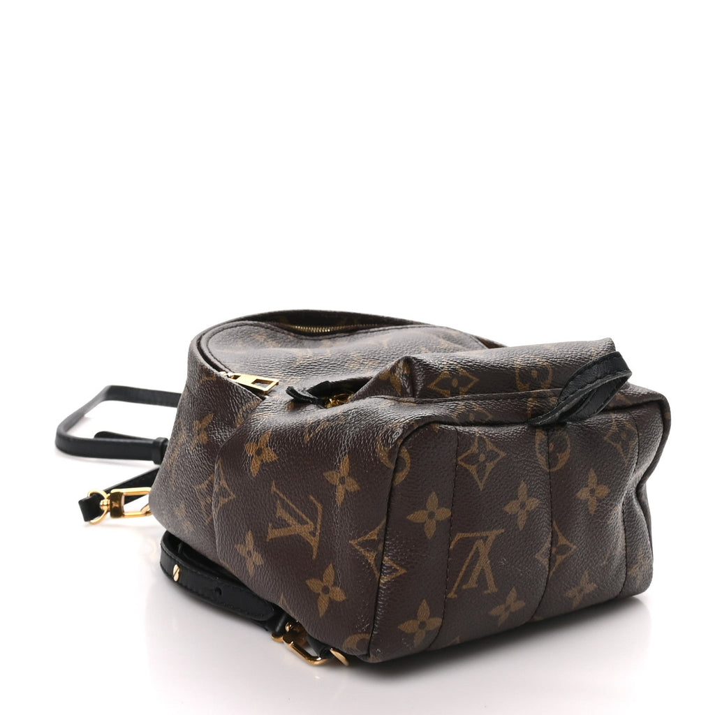 Monogram Palm Springs Backpack Mini