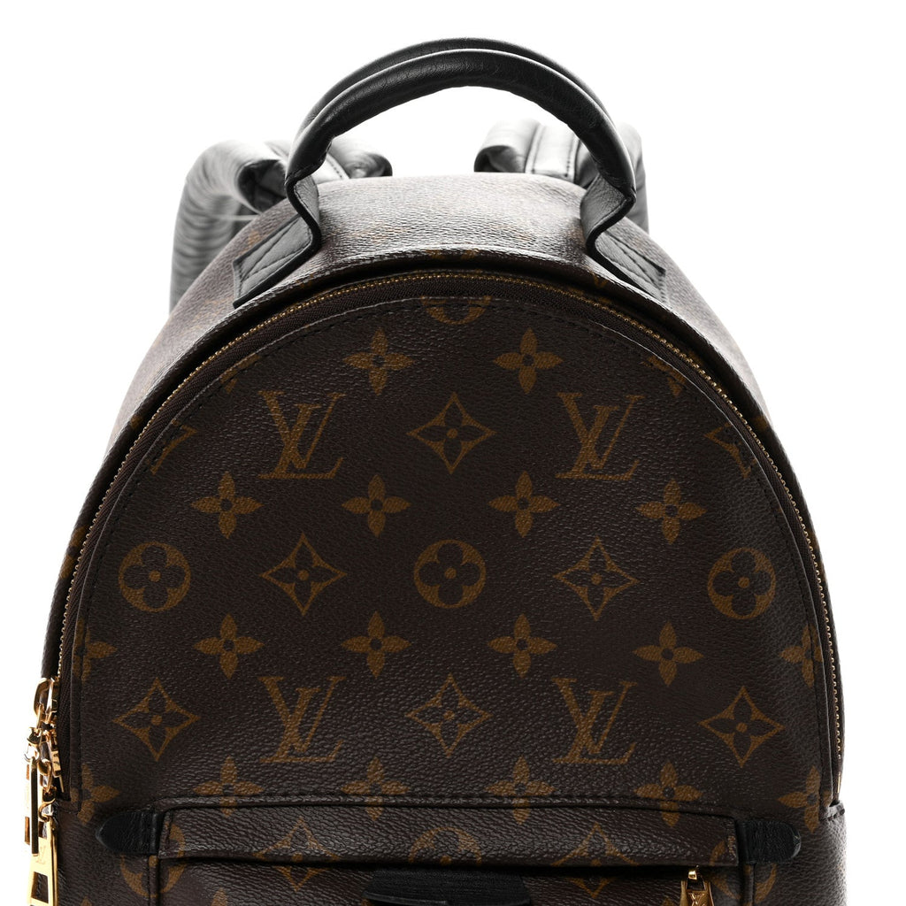 Monogram Palm Springs Backpack PM