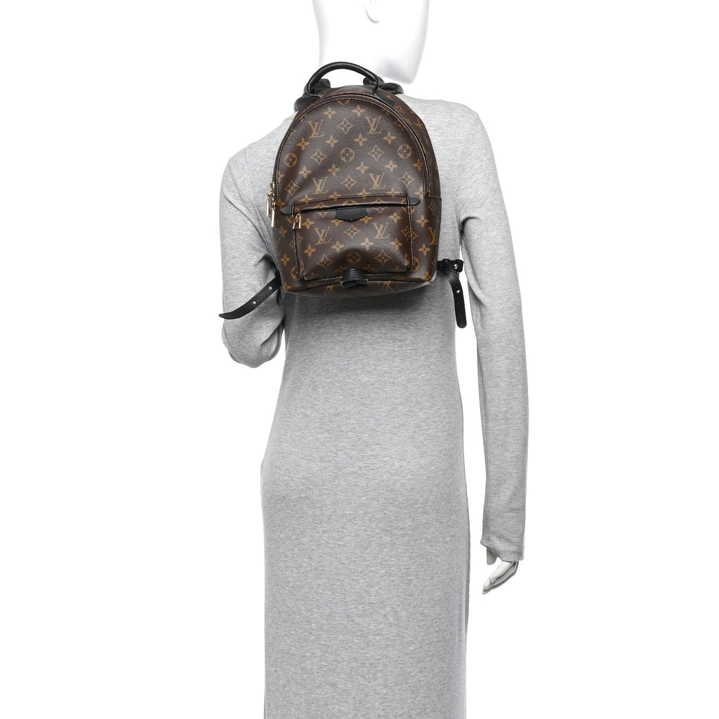 Monogram Palm Springs Backpack PM