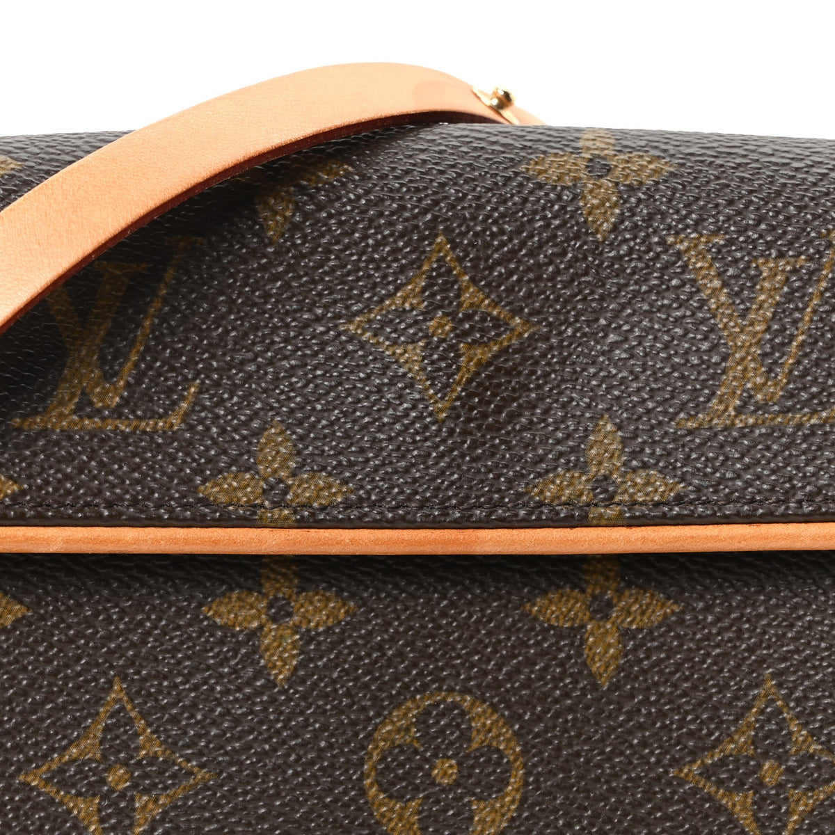 Monogram Pochette Florentine M