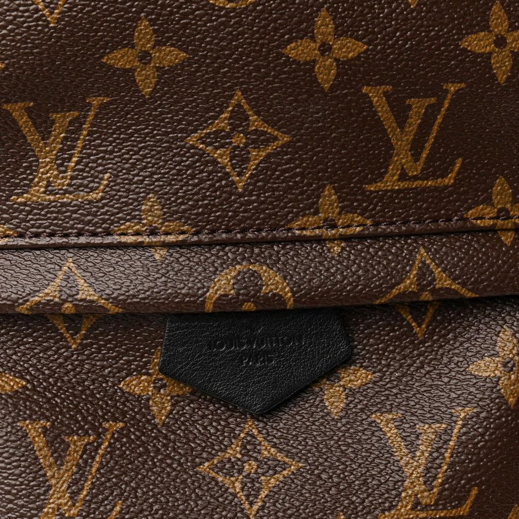Monogram Palm Springs Backpack PM