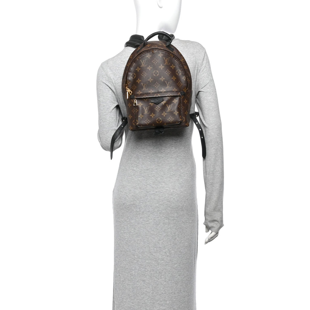 Monogram Palm Springs Backpack PM